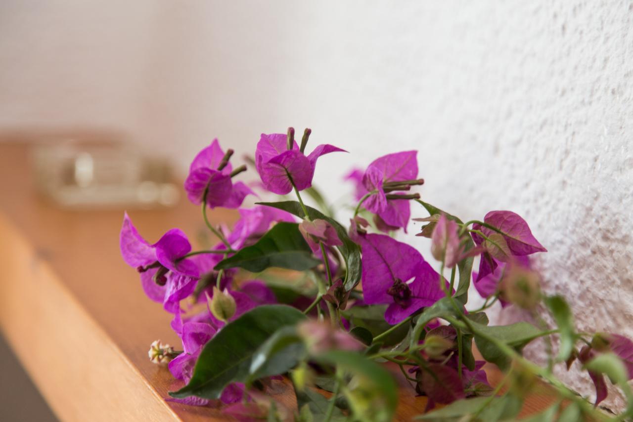 Moraira Holiday Villa Dış mekan fotoğraf